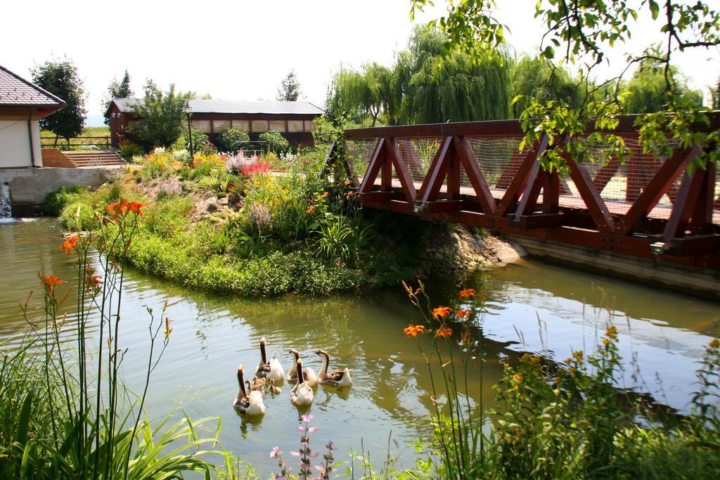 Penzion Eko Park Piestany Buitenkant foto